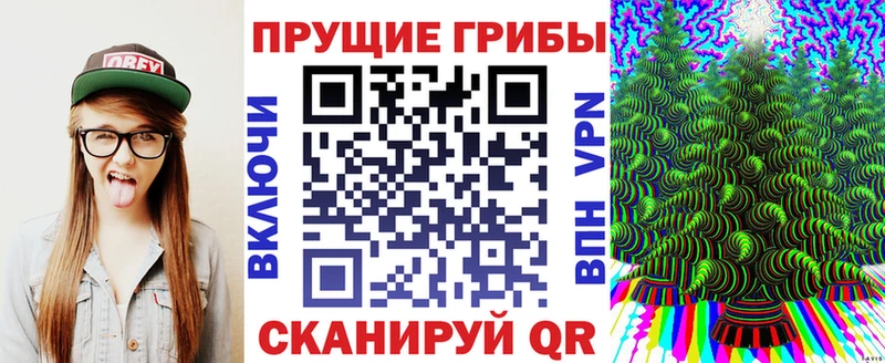 Купить закладки  Ржев  Галлюциногенные грибы прущие грибы 